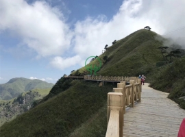 岳陽棧道平臺；圍欄-湖南防腐木批發(fā)